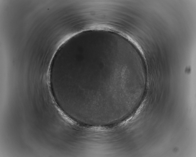 X0000098051037200804111307