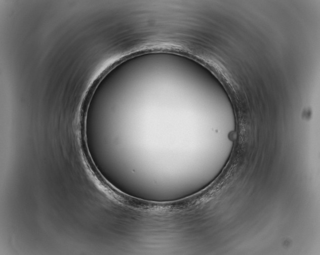 X0000098051038200804111307