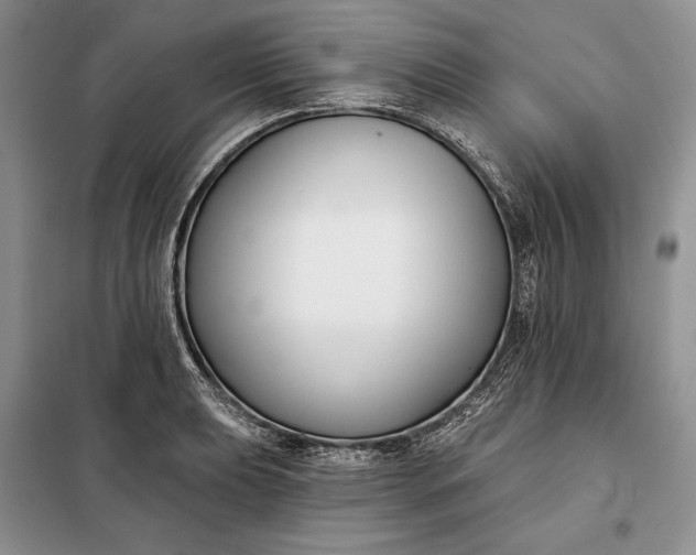 X0000098051039200804111307