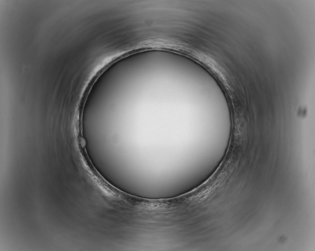 X0000098051040200804111307