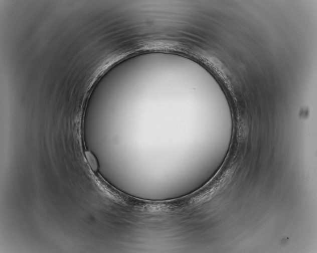 X0000098051041200804111307