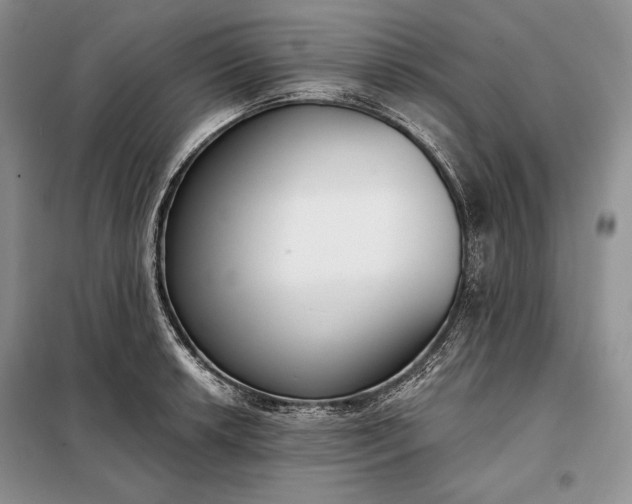 X0000098051042200804111307