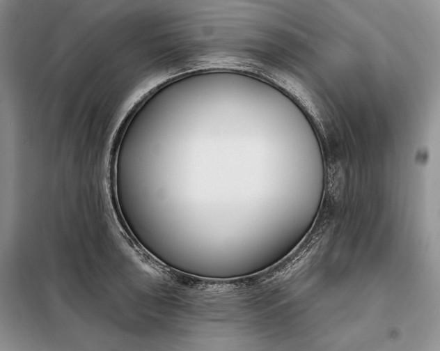 X0000098051043200804111307