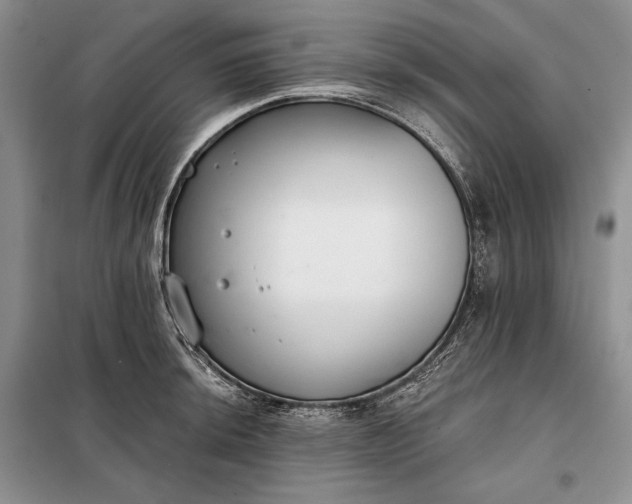 X0000098051044200804111307