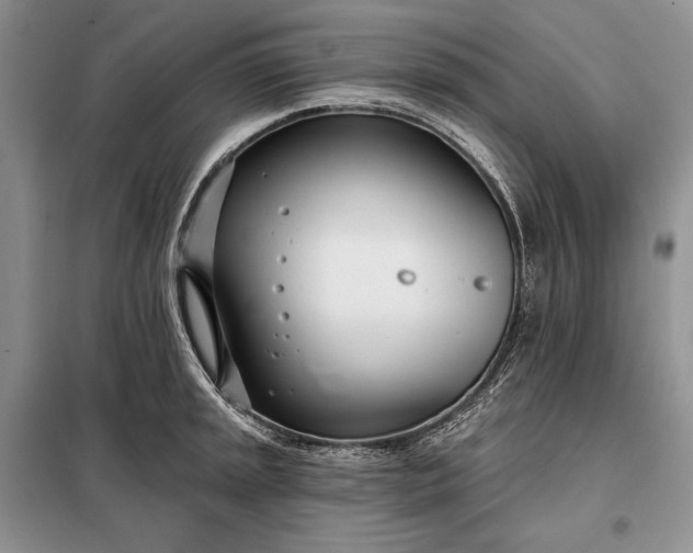 X0000098051045200804111307