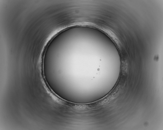 X0000098051046200804111307