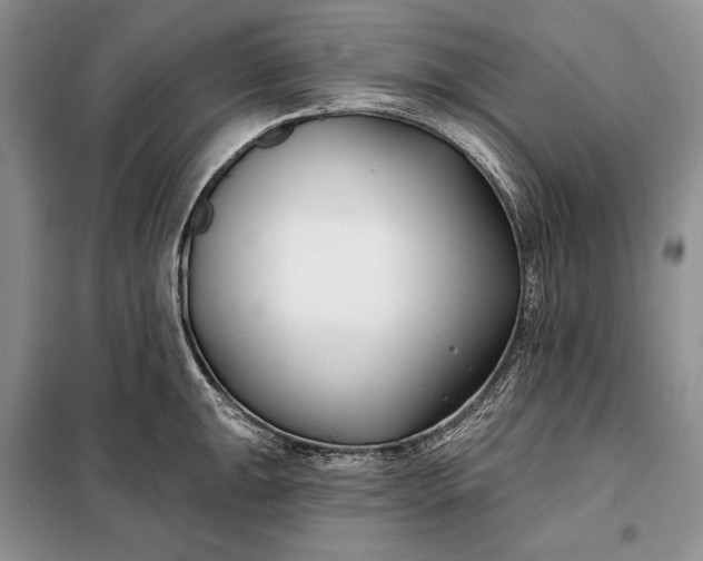 X0000098051047200804111307