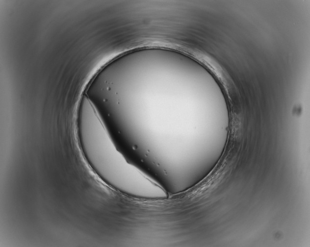 X0000098051048200804111307