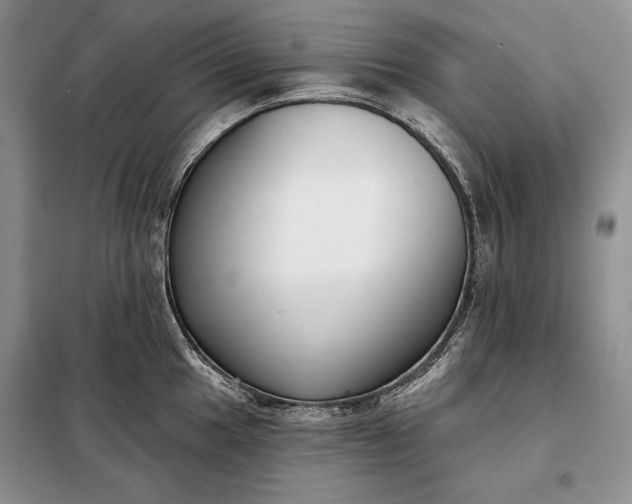 X0000098051049200804111308