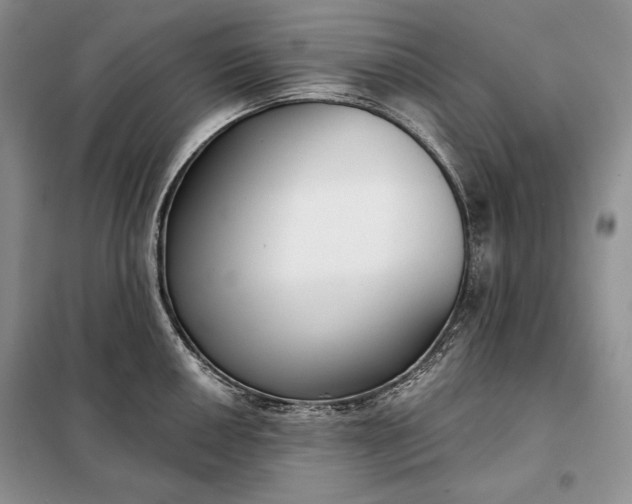 X0000098051050200804111308