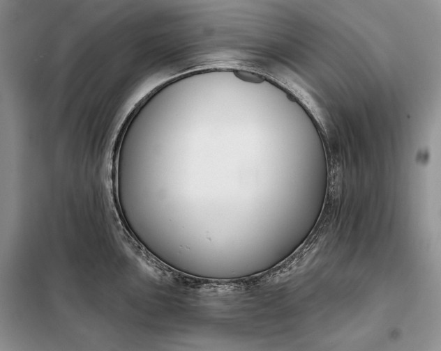 X0000098051051200804111308