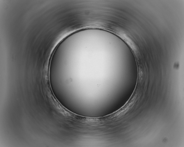 X0000098051052200804111308