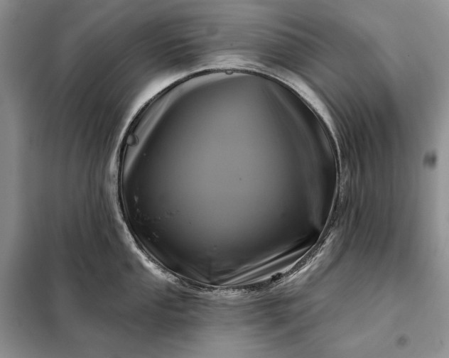 X0000098051053200804111308