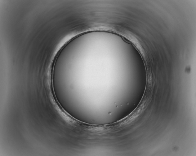 X0000098051054200804111308