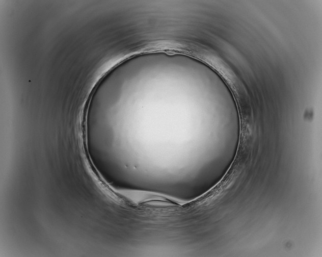 X0000098051055200804111308