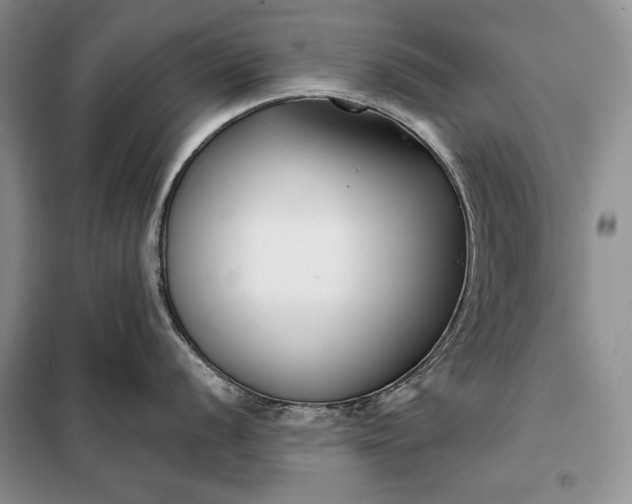 X0000098051056200804111308