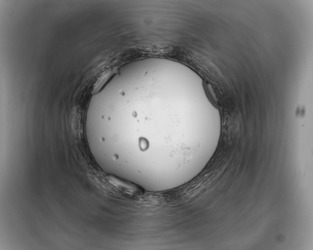 X0000098051058200804111307