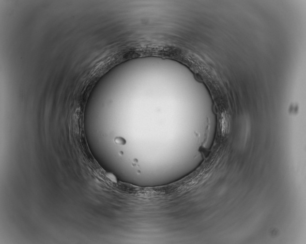 X0000098051059200804111307