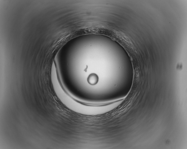 X0000098051060200804111307