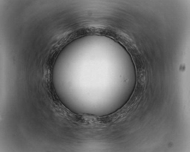 X0000098051061200804111307