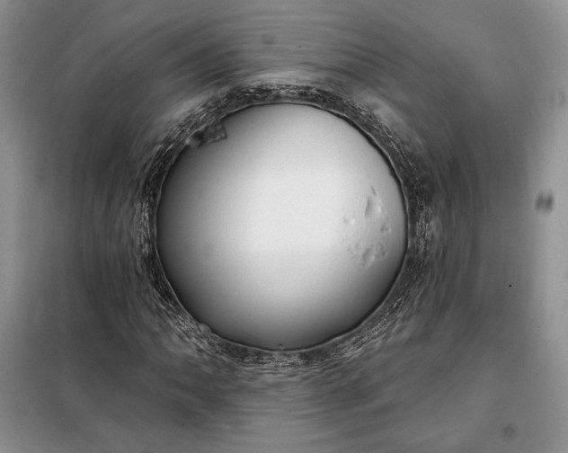 X0000098051062200804111307