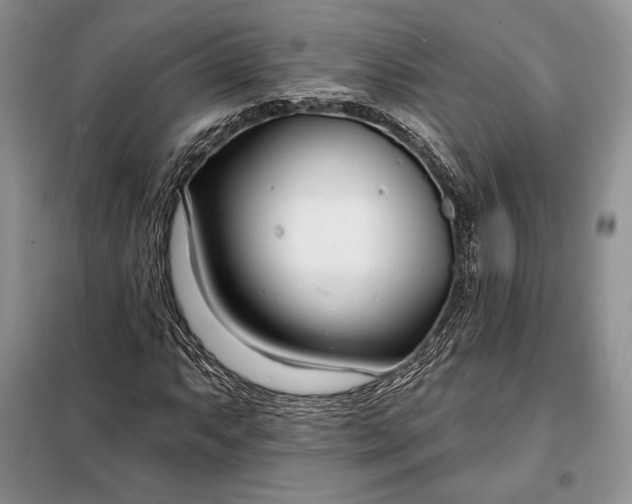 X0000098051063200804111307