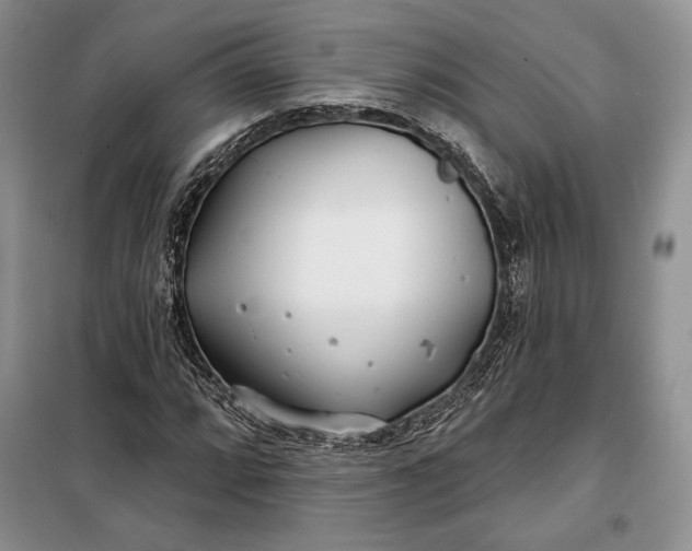 X0000098051064200804111307