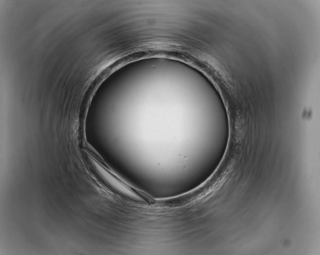 X0000098051065200804111307