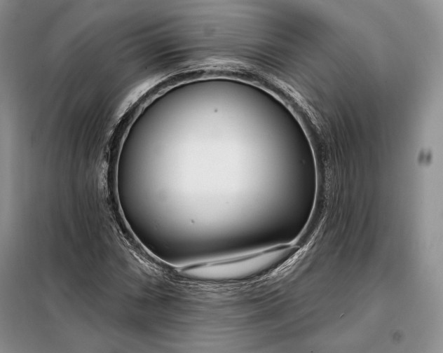 X0000098051066200804111307