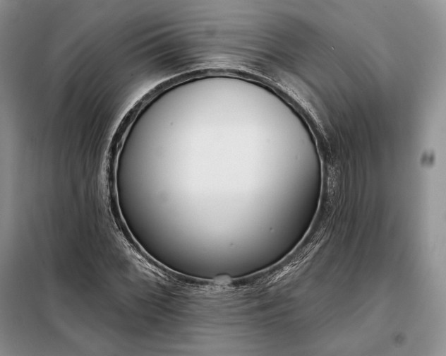 X0000098051068200804111307