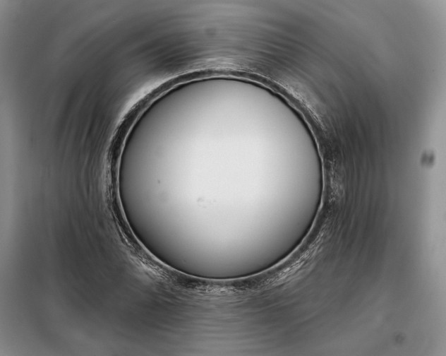 X0000098051070200804111307