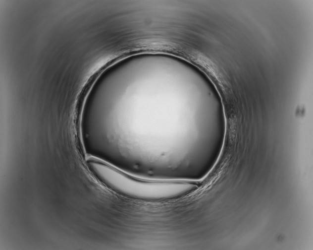 X0000098051071200804111307