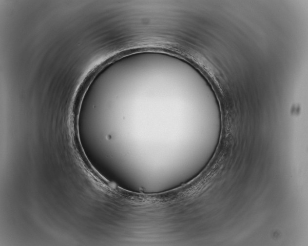 X0000098051072200804111307