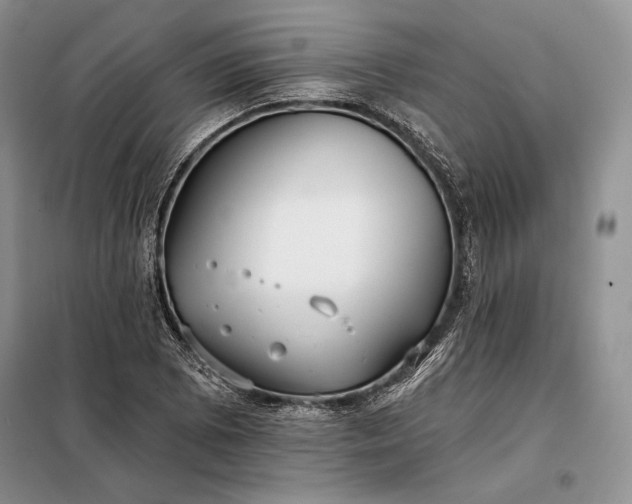 X0000098051073200804111307