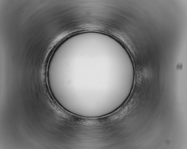 X0000098051074200804111307