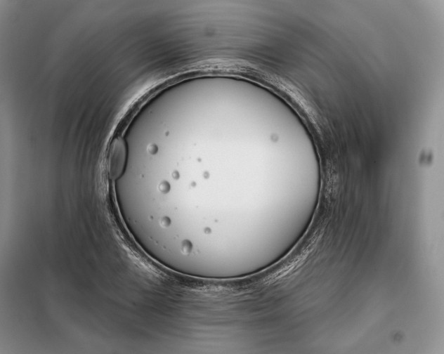 X0000098051075200804111307