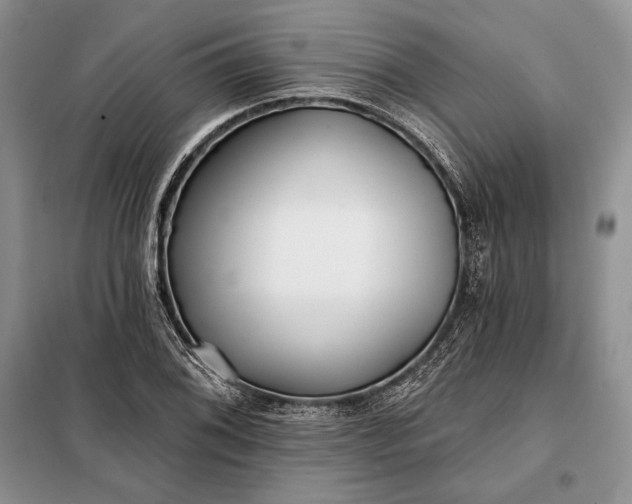 X0000098051076200804111307