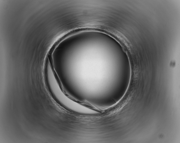 X0000098051077200804111306