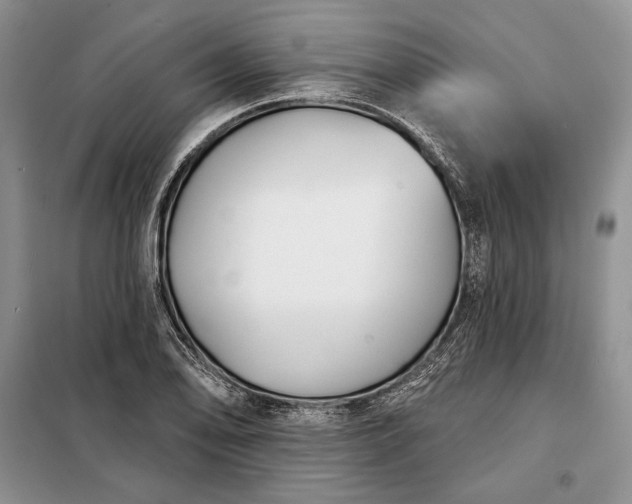 X0000098051078200804111306