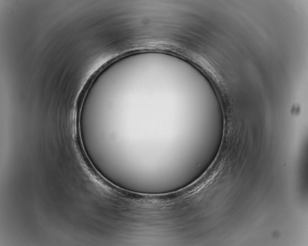 X0000098051079200804111306