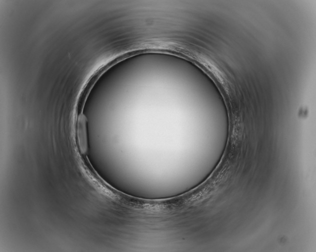 X0000098051080200804111306