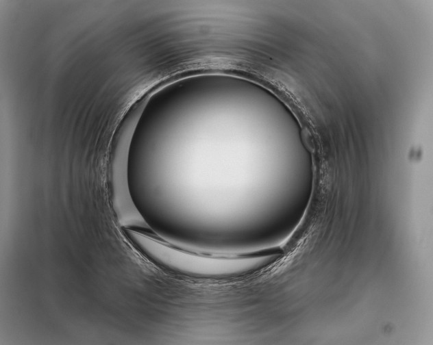 X0000098051081200804111306