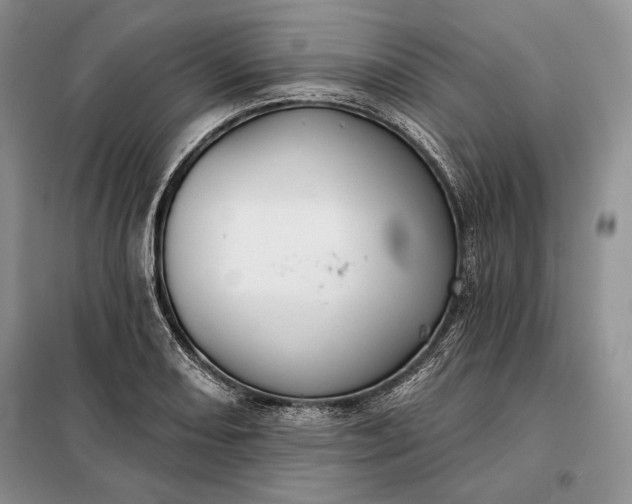 X0000098051082200804111306