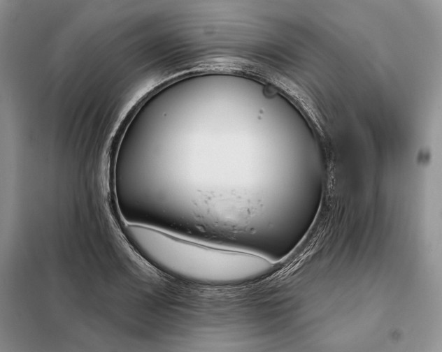 X0000098051083200804111306