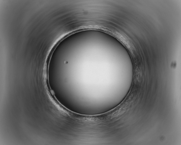 X0000098051084200804111306