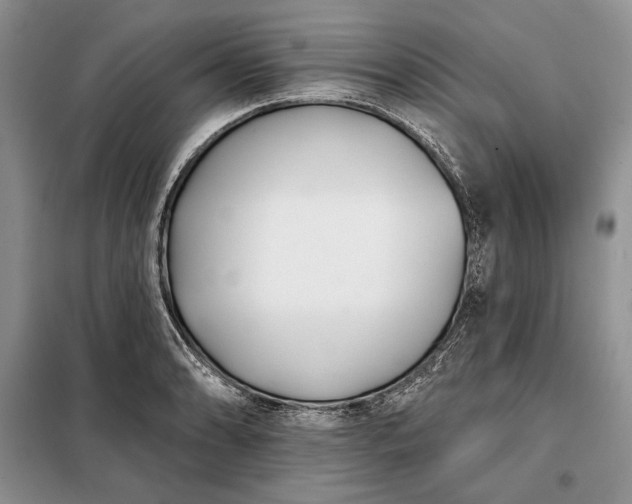 X0000098051086200804111306