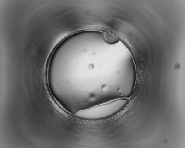 X0000098051087200804111306