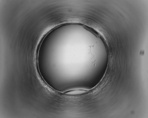 X0000098051088200804111306