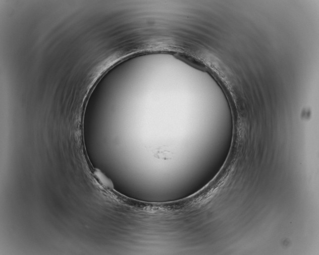 X0000098051089200804111306