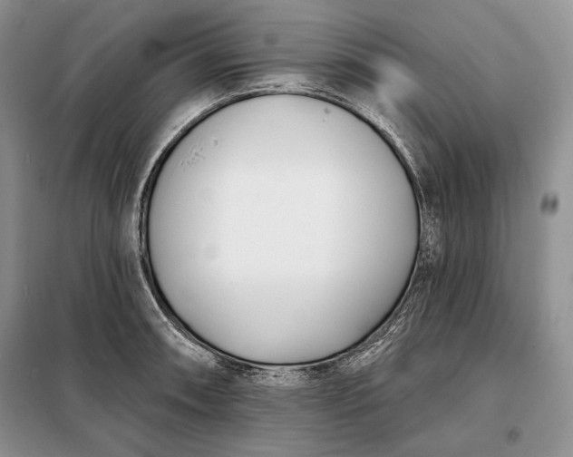 X0000098051090200804111306